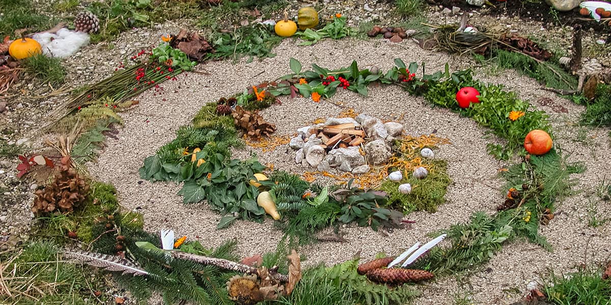 wechselwirkung bildung und beratung in wechselwirkung mit natur naturpädagogik erwachsenenbildung