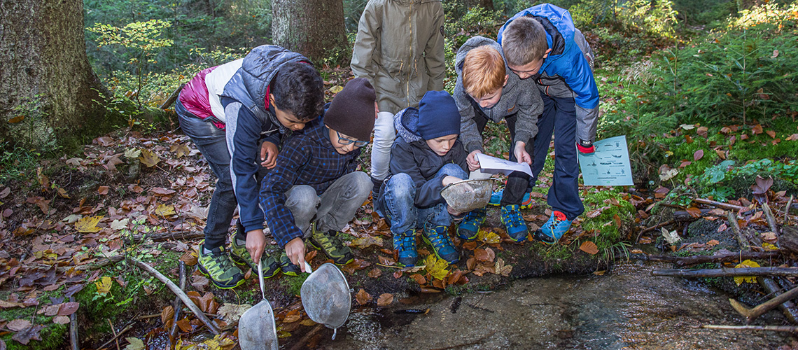 wechselwirkung bildung und beratung in wechselwirkung mit natur naturpädagogik erwachsenenbildung