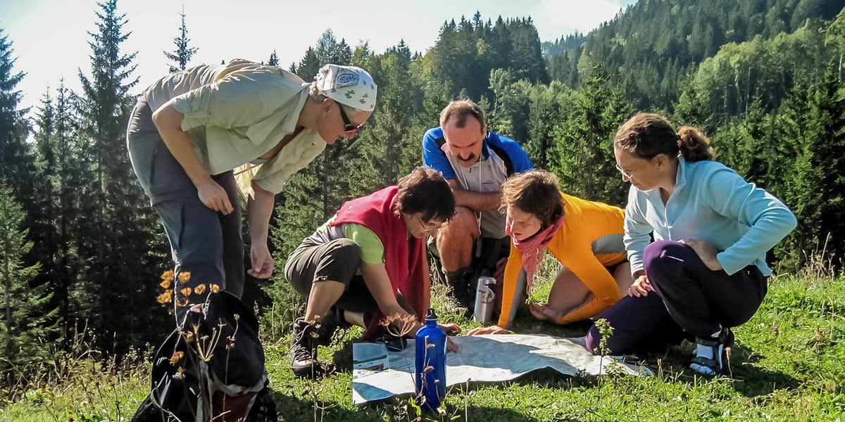 wechselwirkung bildung und beratung in wechselwirkung mit natur naturpädagogik erwachsenenbildung