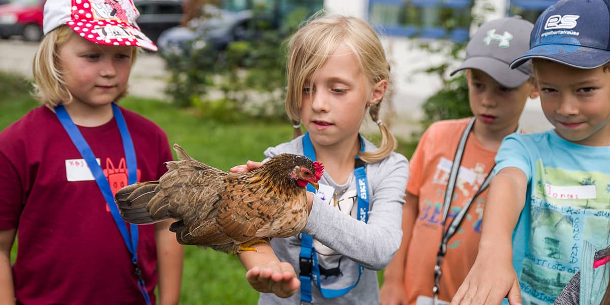 wechselwirkung bildung und beratung in wechselwirkung mit natur naturpädagogik erwachsenenbildung