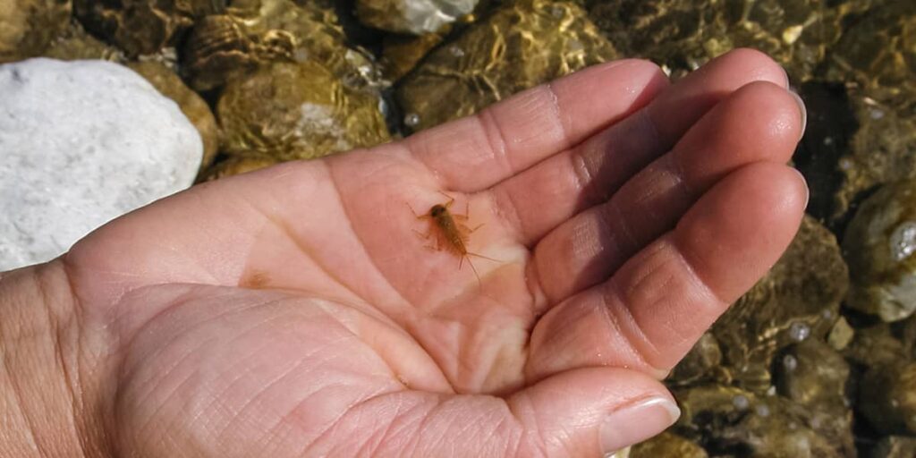 wechselwirkung bildung und beratung in wechselwirkung mit natur naturpädagogik erwachsenenbildung