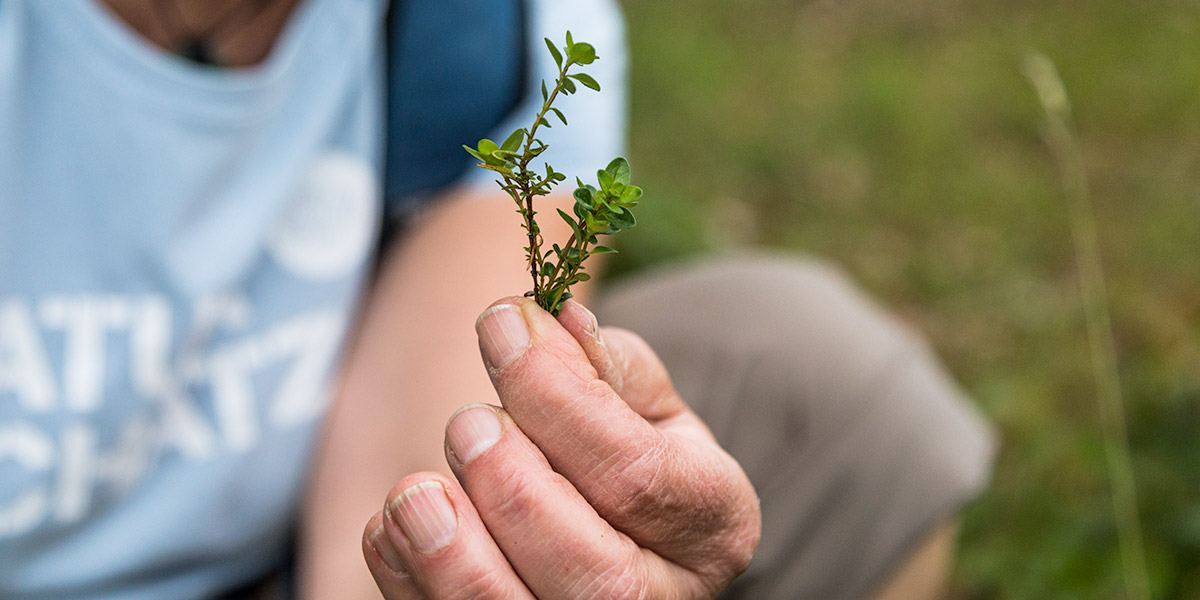 wechselwirkung bildung und beratung in wechselwirkung mit natur naturpädagogik erwachsenenbildung